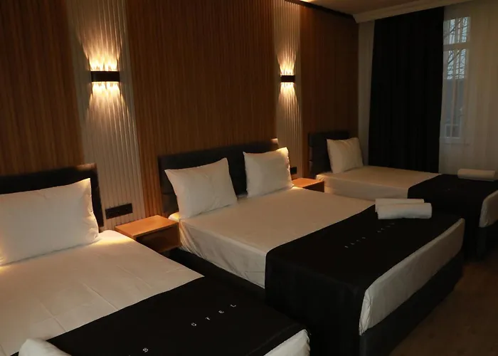 Rays Hotel Bakirkoey City Center