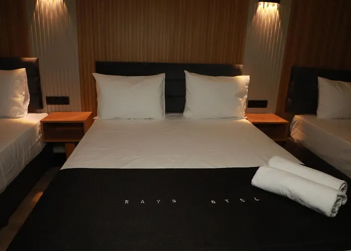 Rays Hotel Bakirkoey City Center